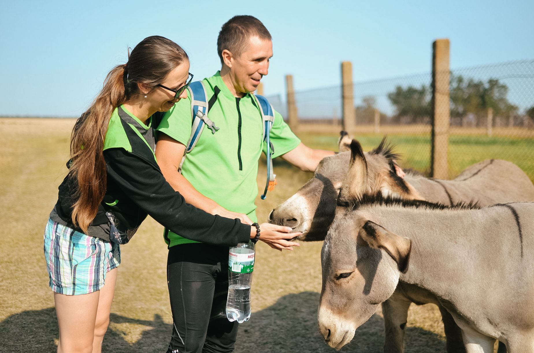 A woman and a man are petting two brown donkeys. The people are smiling. The man is holding a water bottle in his right hand. The woman is wearing sunglasses.